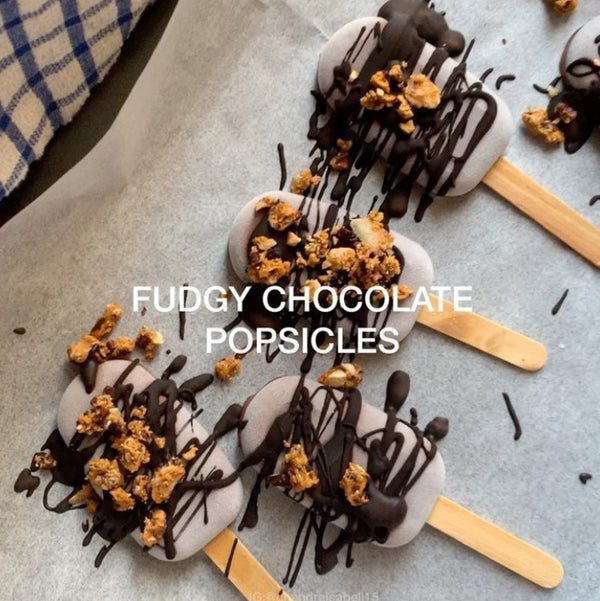 Fudgy Chocolate Popsicle
